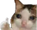 SadThumb