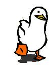 walkingducky