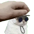 CB_ginger_pat CB_ginger_pat