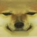 cheemstare