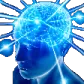 bigbrain