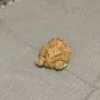 Frogge