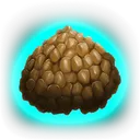 Extraordinary_Kibble