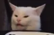 Confusedcat confusedCat Discord Emoji