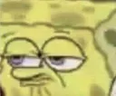 spong