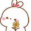 bunbunflower
