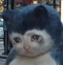 crylax crylax