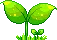 AMplant