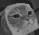 bread_cat Discord emoji