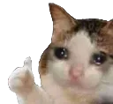 catthumb
