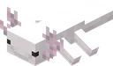 axolotl