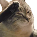 salutingboy