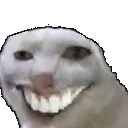 weshbald