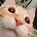 ucalledme