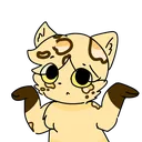 shrugcat