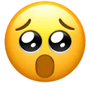 PleadingShock PleadingShock
