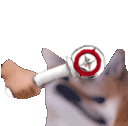 askzbonk Discord Emoji