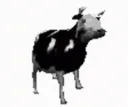 CowDance