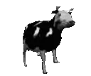 vibincow
