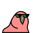 loro_guay
