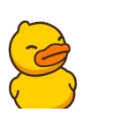 duckyno