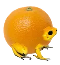 orangela