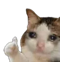 Catsadthumbsup Discord Emoji