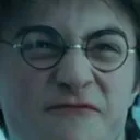 harry_pfff