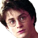 harry_what