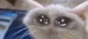 emoji_16
