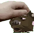 saltedpog3pet saltedpog3pet