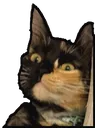 smugpatches