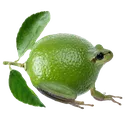 lemontwist