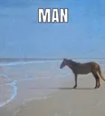 manmeme