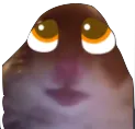 pleadingbruh