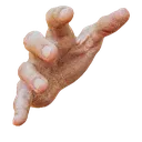 LeftHand