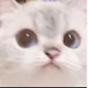 concern