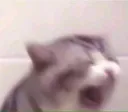 aaaaaaaa