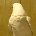 non