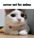 RRR_NA