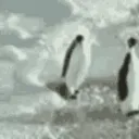 penguinslap