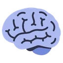 Brain
