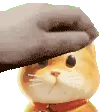MacchiPet