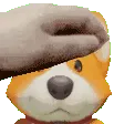 pa_NemoPet