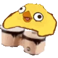 CsibeBongo