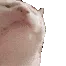 cat_vibe