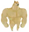 dogechad dogechad