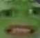 MinervaPepecringe
