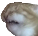 esket