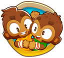 BTD6coop Discord emoji